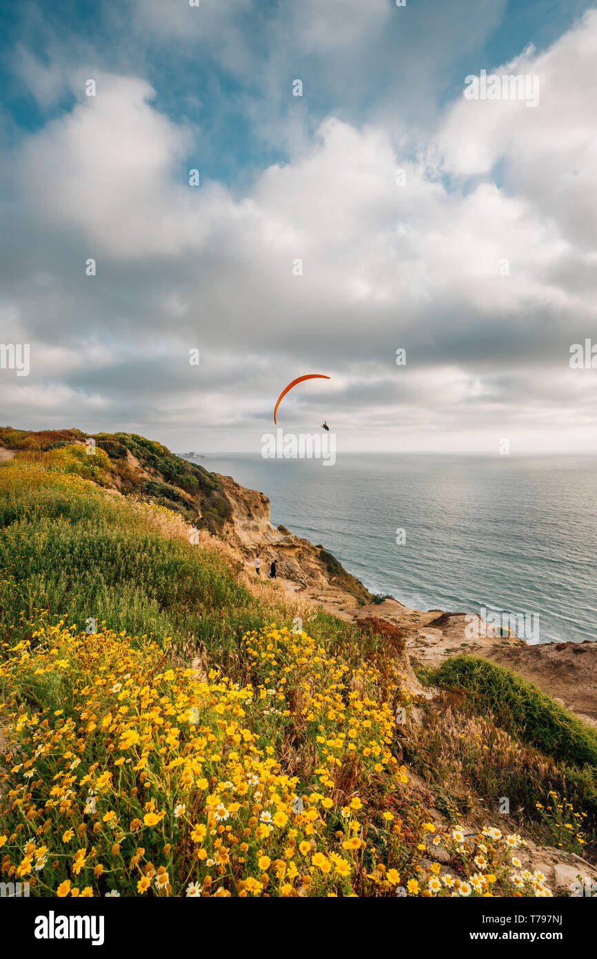 Torrey pines gliderport la hi-res stock photography and images - Alamy