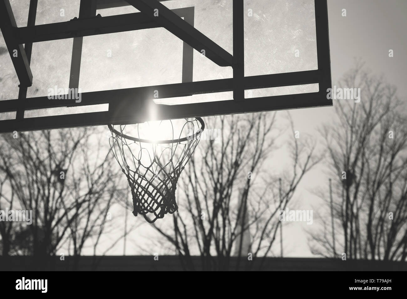 Monochrome image of old basketball backboard and sun inside the rim Stock Photo