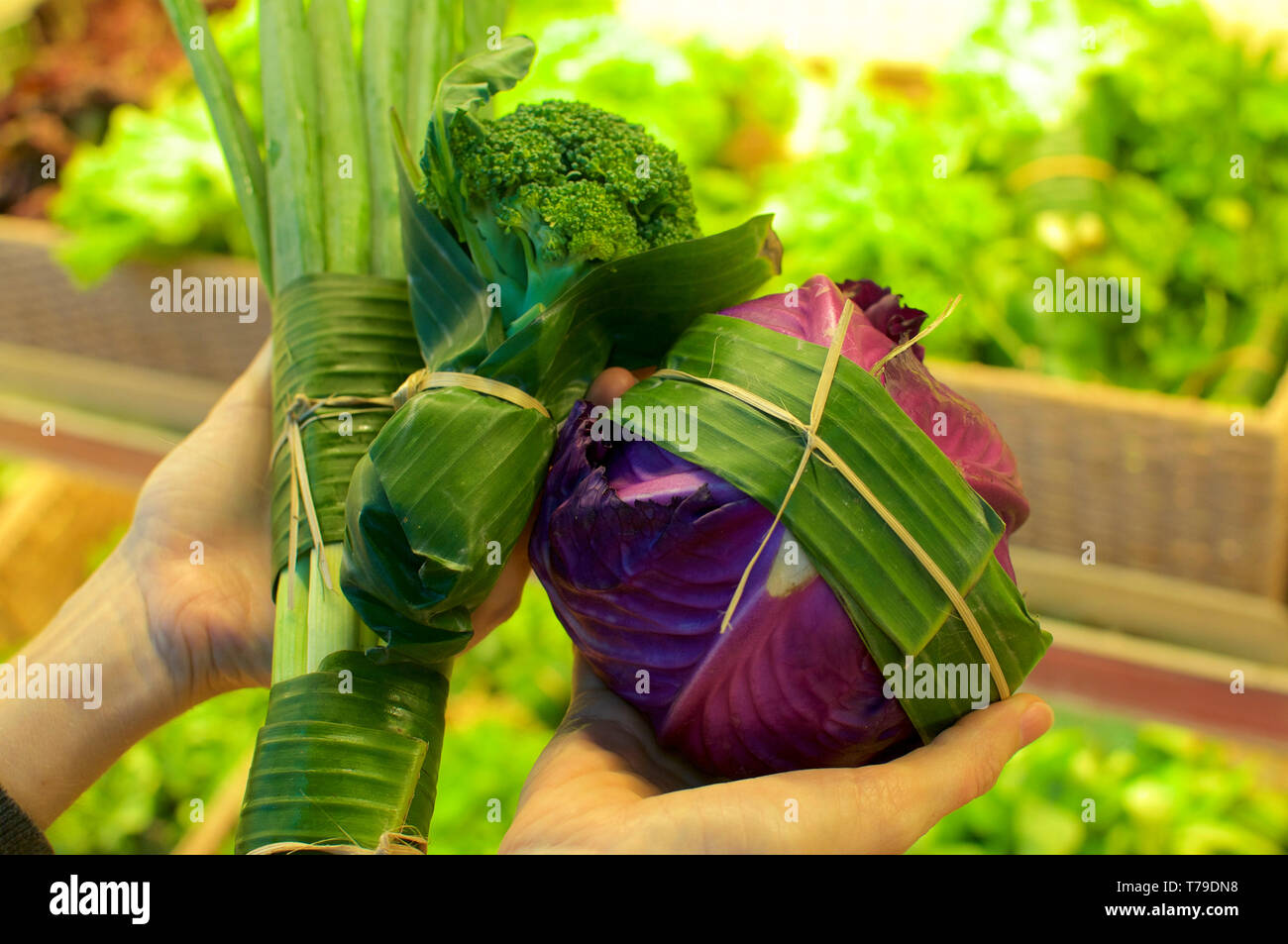 Food wrapped in banana leaves hires stock photography and images Alamy