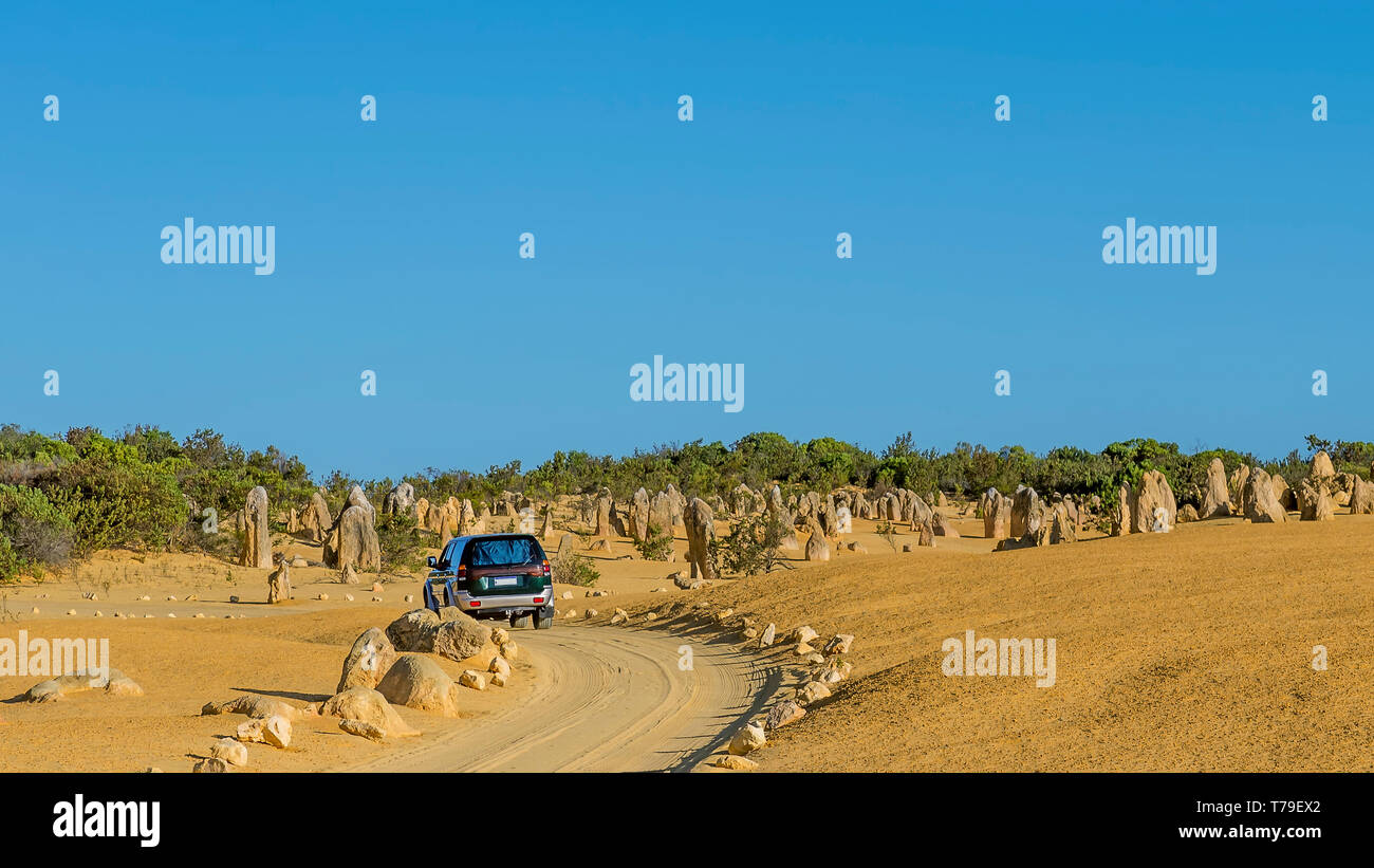 Large size SUV car crosses the Pinnacles Desert before sunset, Western Australia Stock Photo
