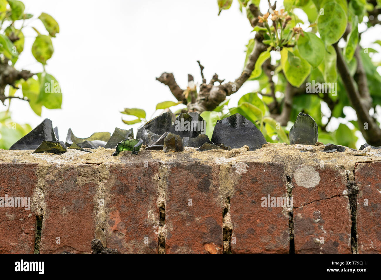 Broken glass wall security hires stock photography and images Alamy