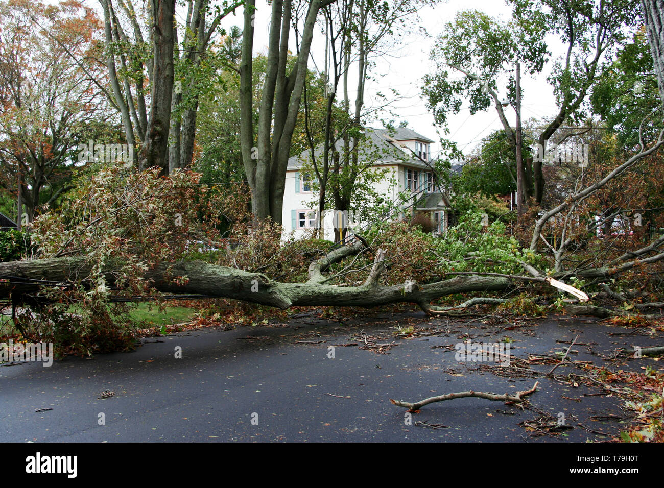 A neighborhood has their power knocked out from trees falling on the wires after Hurricane. Stock Photo
