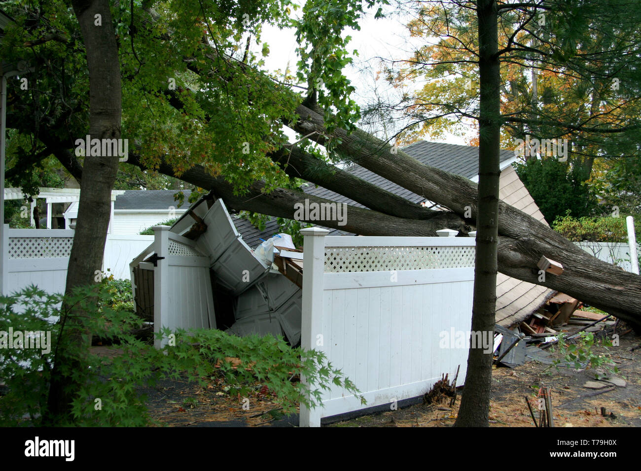 A house in Babylon Village, NY has a tree fall on it's garage during Super Storm Sandy Stock Photo