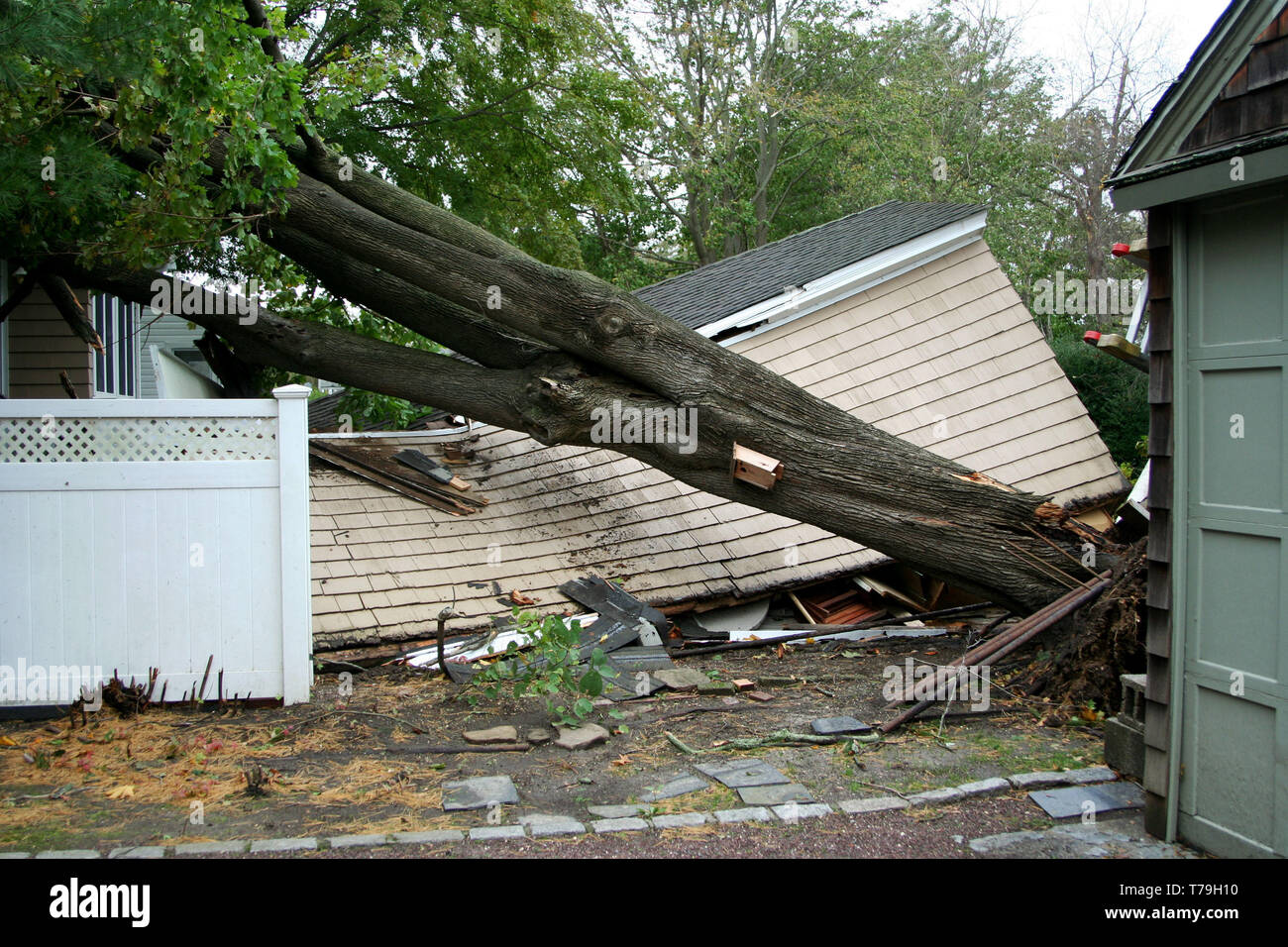 My neighbors garage has a tree on it after Super Storm Sandy Stock Photo