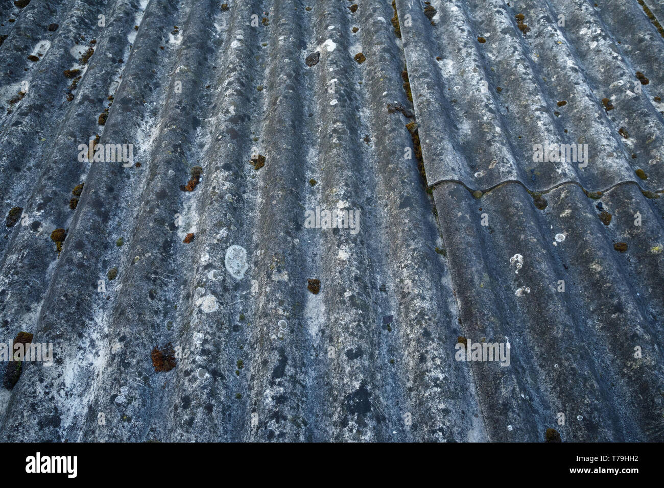 A heavily aged and weathered asbestos cement corrugated roofing Stock Photo