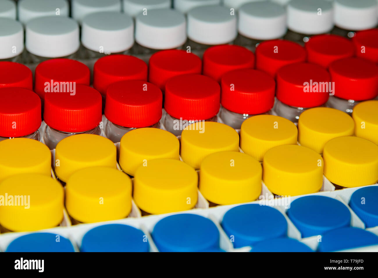 Rows of jars with multi-colored lids. Concept of medicine. Stock Photo