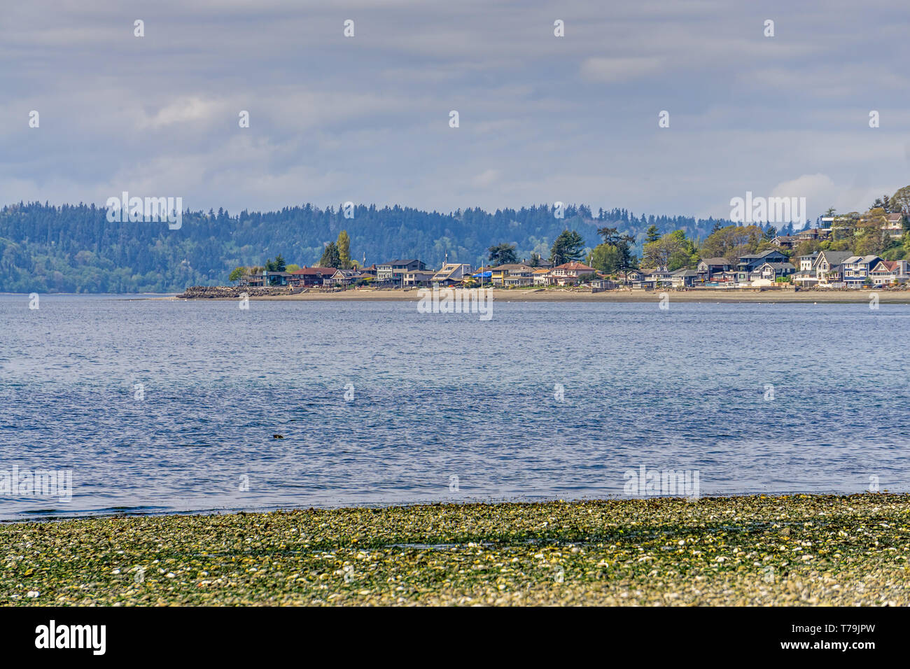 A view of waterfront homes along Three Tree Point in Burien, Washington