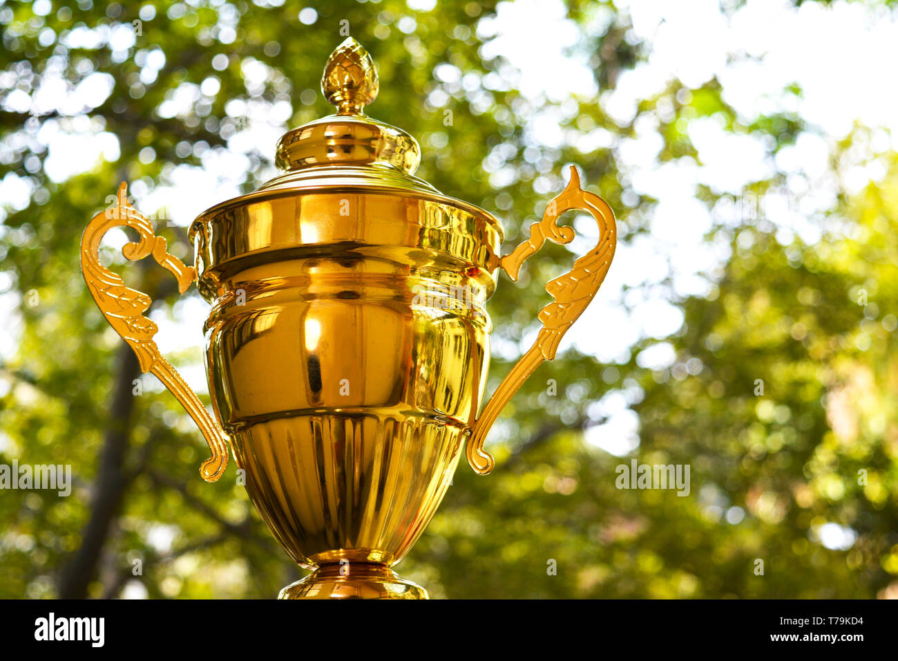 Gold trophy on green nature background Stock Photo - Alamy