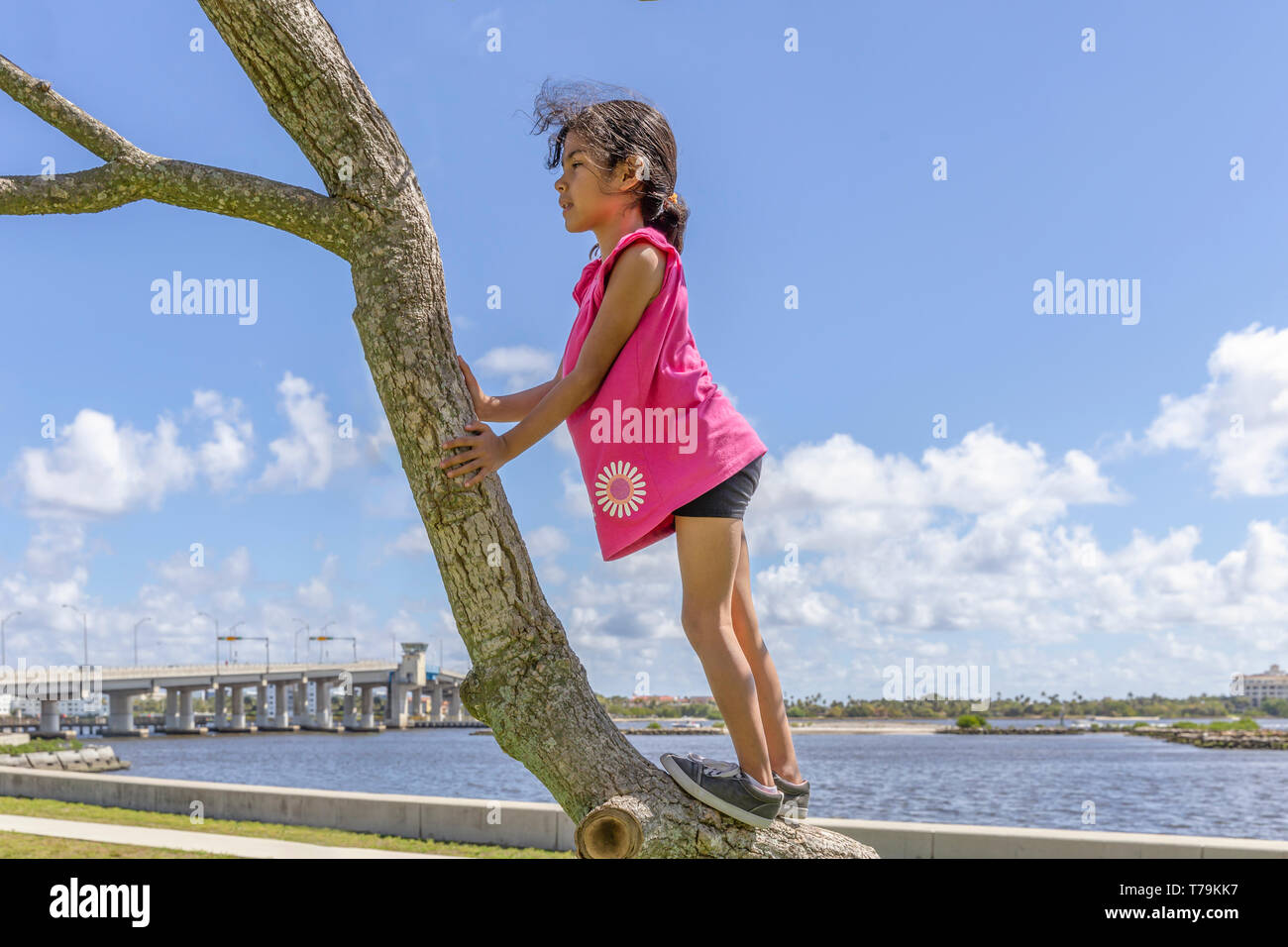 The young schoolgirl stands on the tree trunk looking away.  She stands profile leaning on the tree to see the water, bridge and the view of the park. Stock Photo