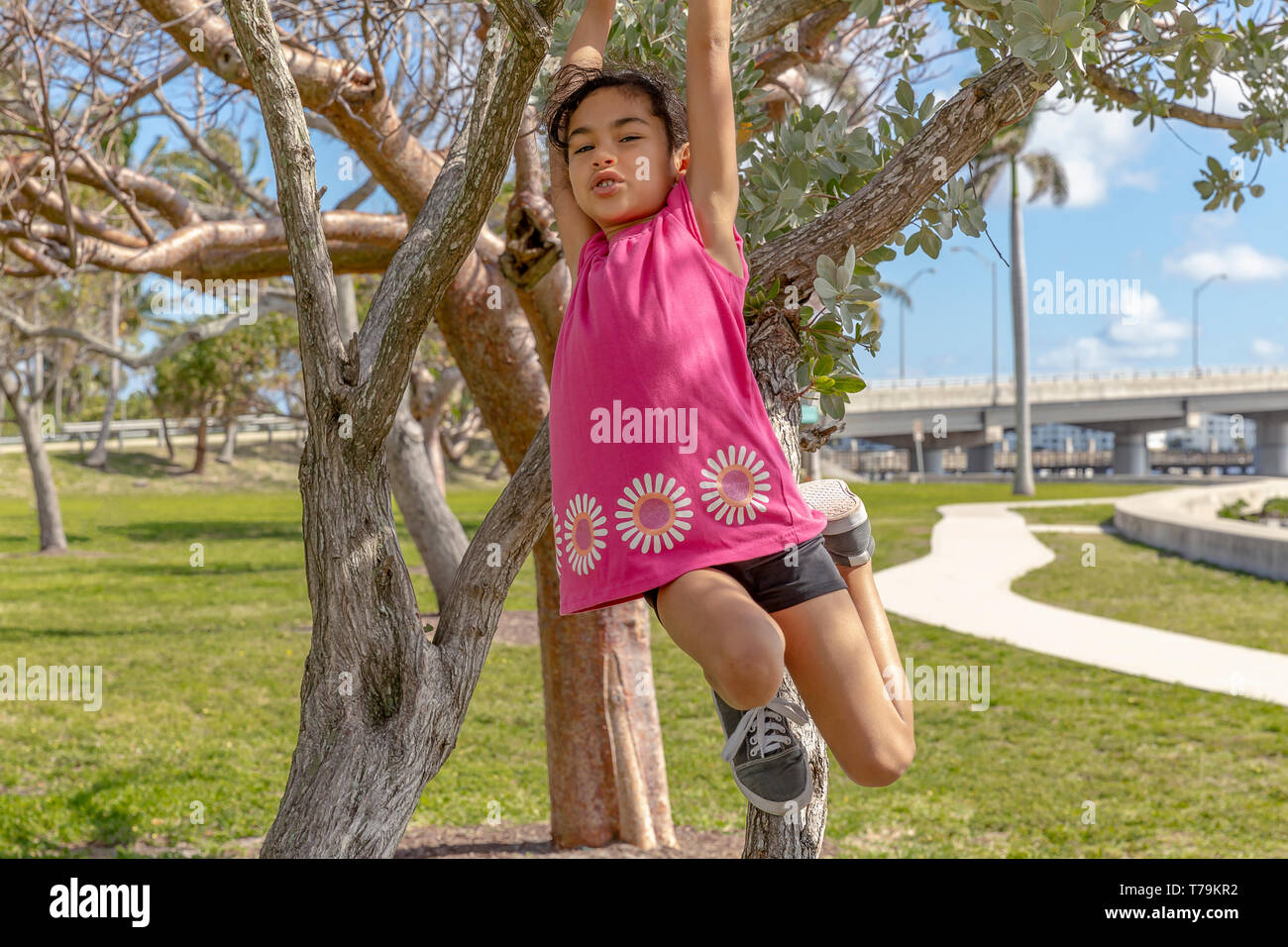 A young girl swings forward from a tree limb. The schoolgirl looks at the camera as she swings from the tree branch. Stock Photo