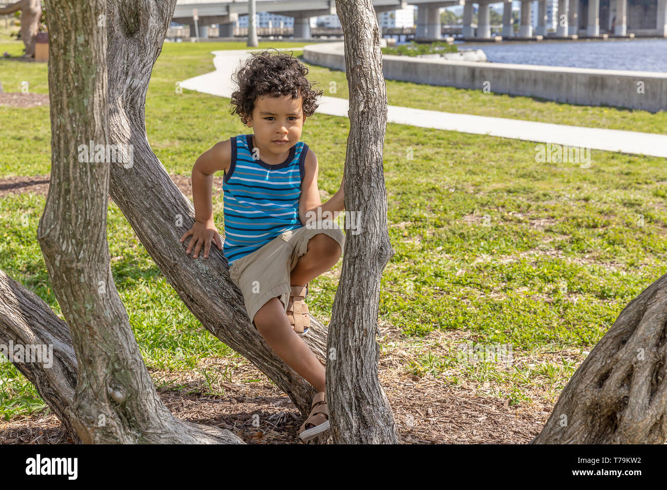 A small boy sits on the base of a curved tree trunk with a gazed look. Stock Photo