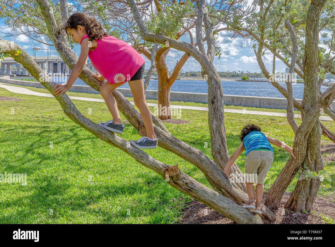 Sister and brother climb a tree together. The two siblings venture off to the side of the river to climb a small tree. Stock Photo