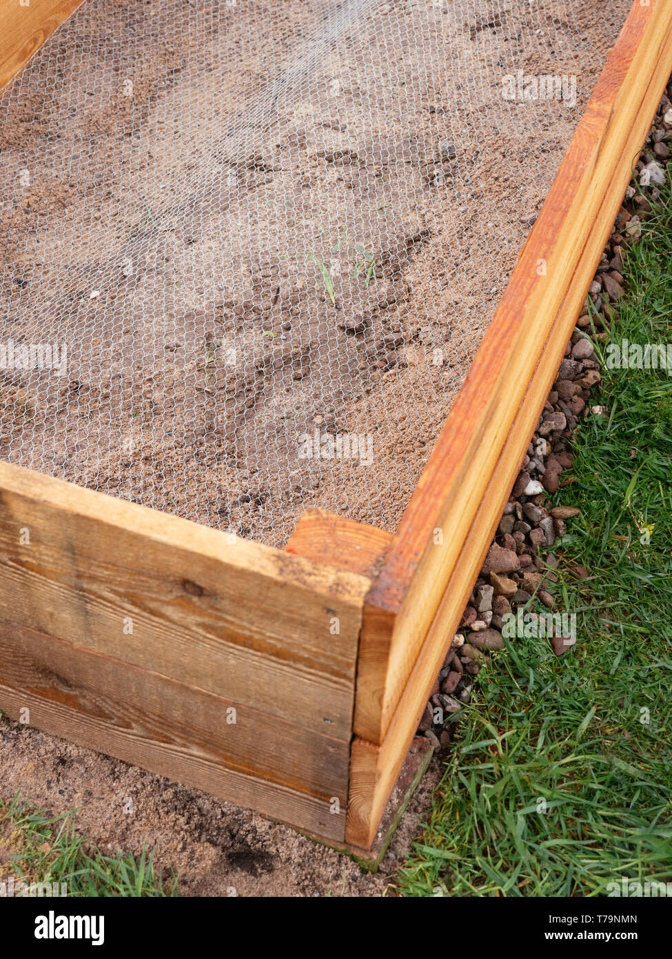 Raised bed lined with chicken wire to keep gophers, voles and moles out. Stock Photo