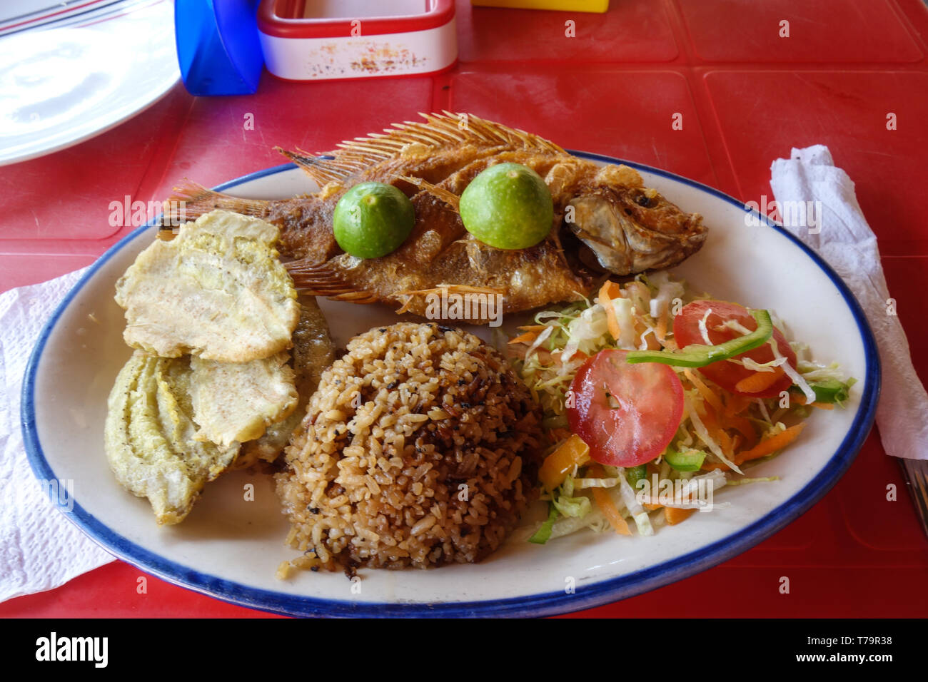Typical fresh Caribbean fish plate with brown coconut rice and