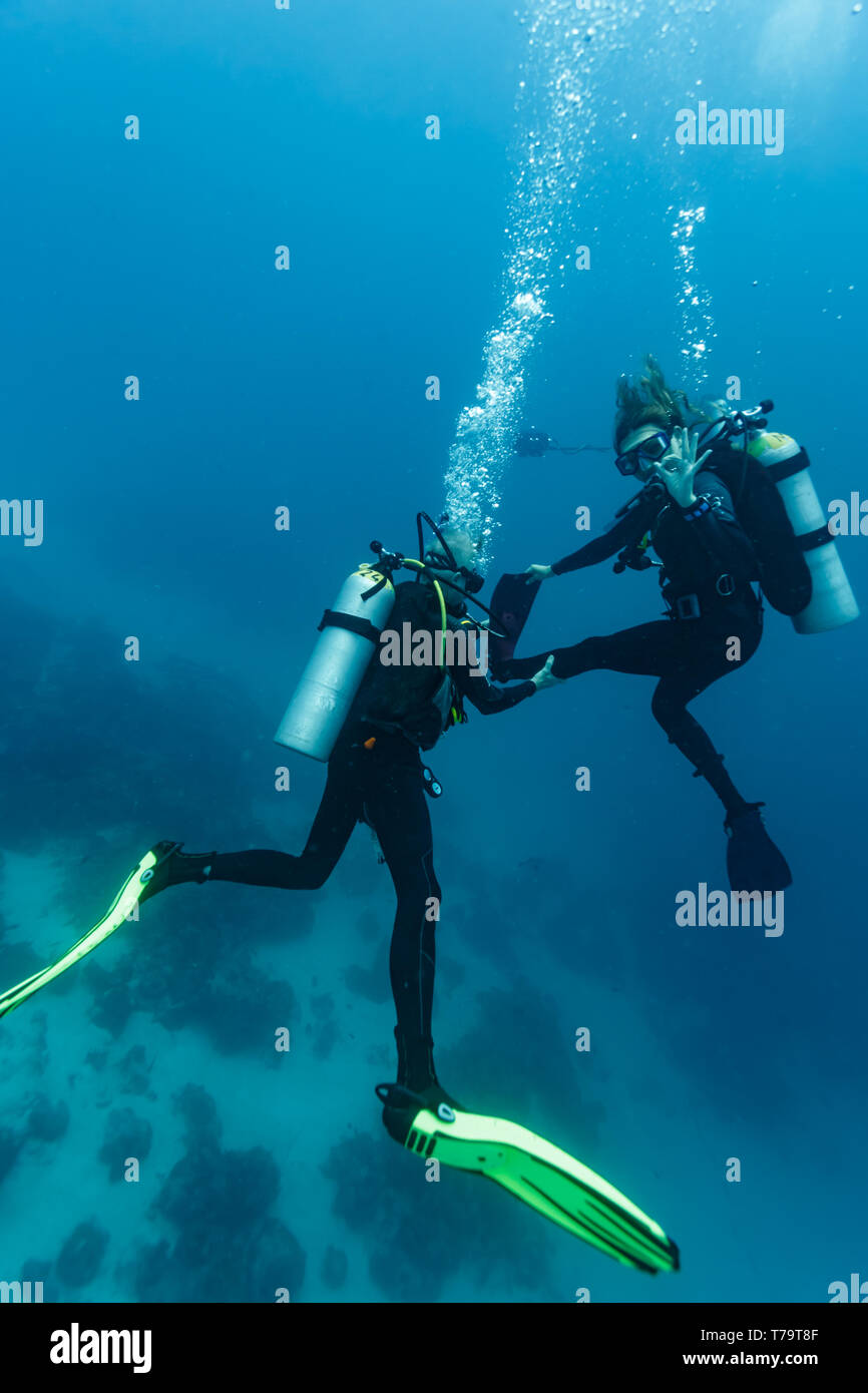 Closeup of two scuba divers descending into turquoise tropical waters to begin dive on reef completing  equipment check Stock Photo