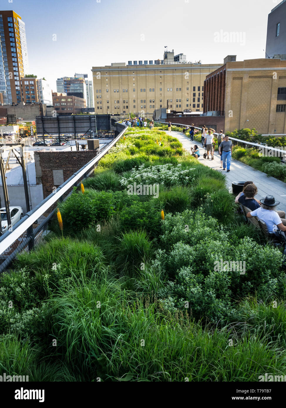 High line pedestrian park and walkway on old elevated train tracks in New York City Stock Photo