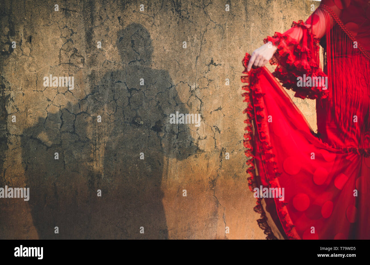 Shadow of woman dressed in flamenco dress on cracked wall, focus on wall shadow and out of focus dress Stock Photo