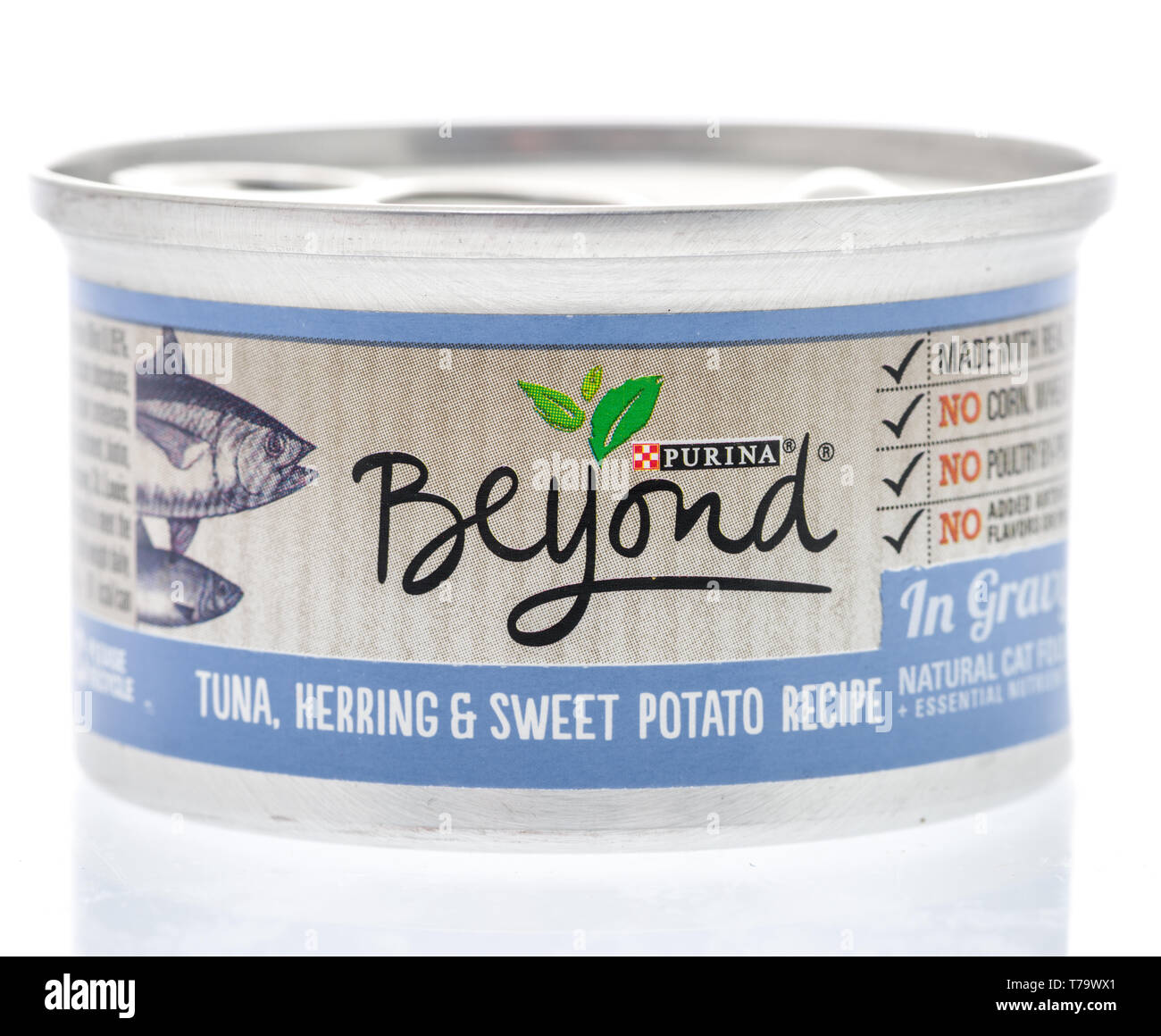 Purina beyond cat food coupon 2019 hot sale