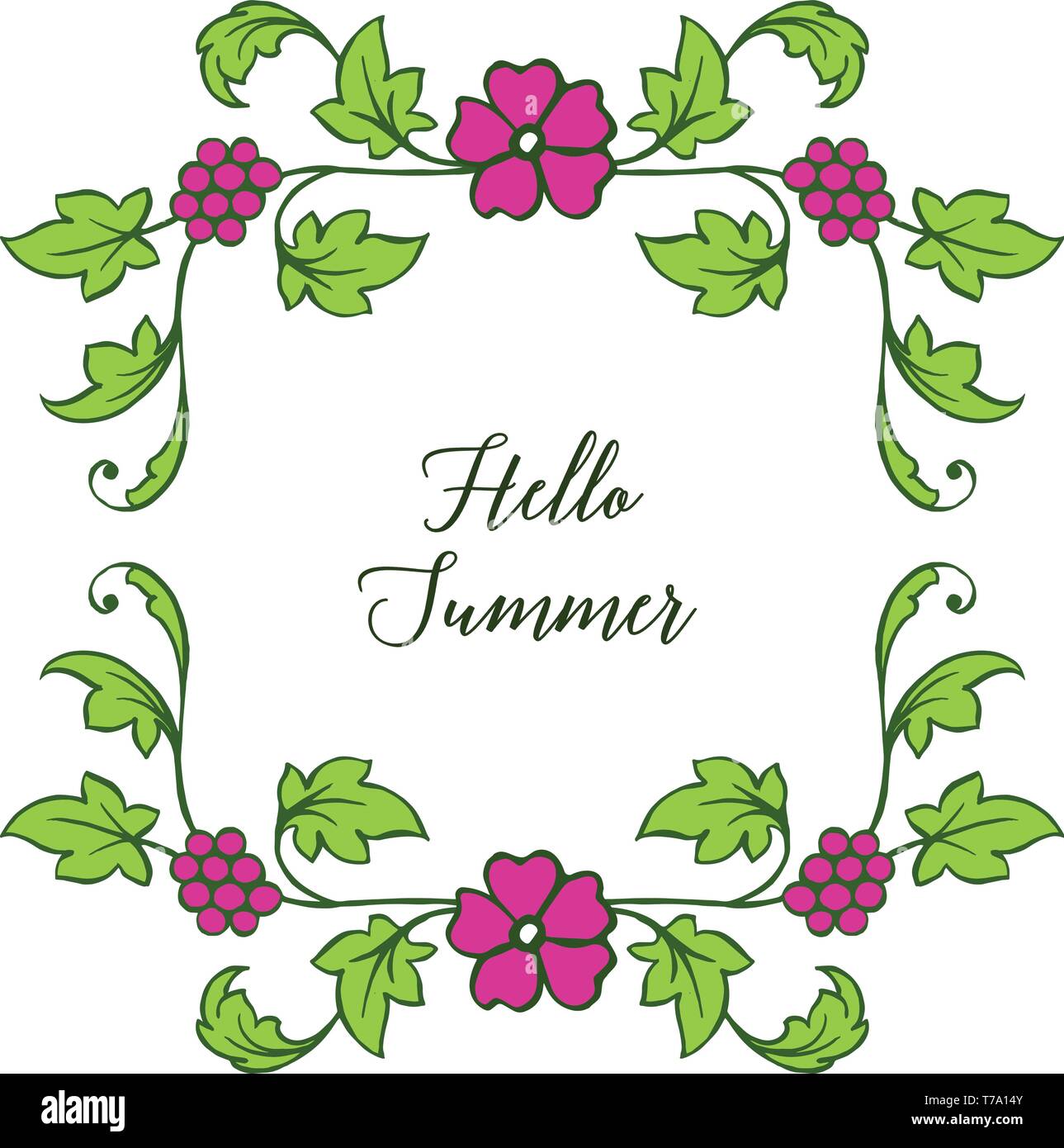Vector illustration design hello summer with various shape leaf wreath ...