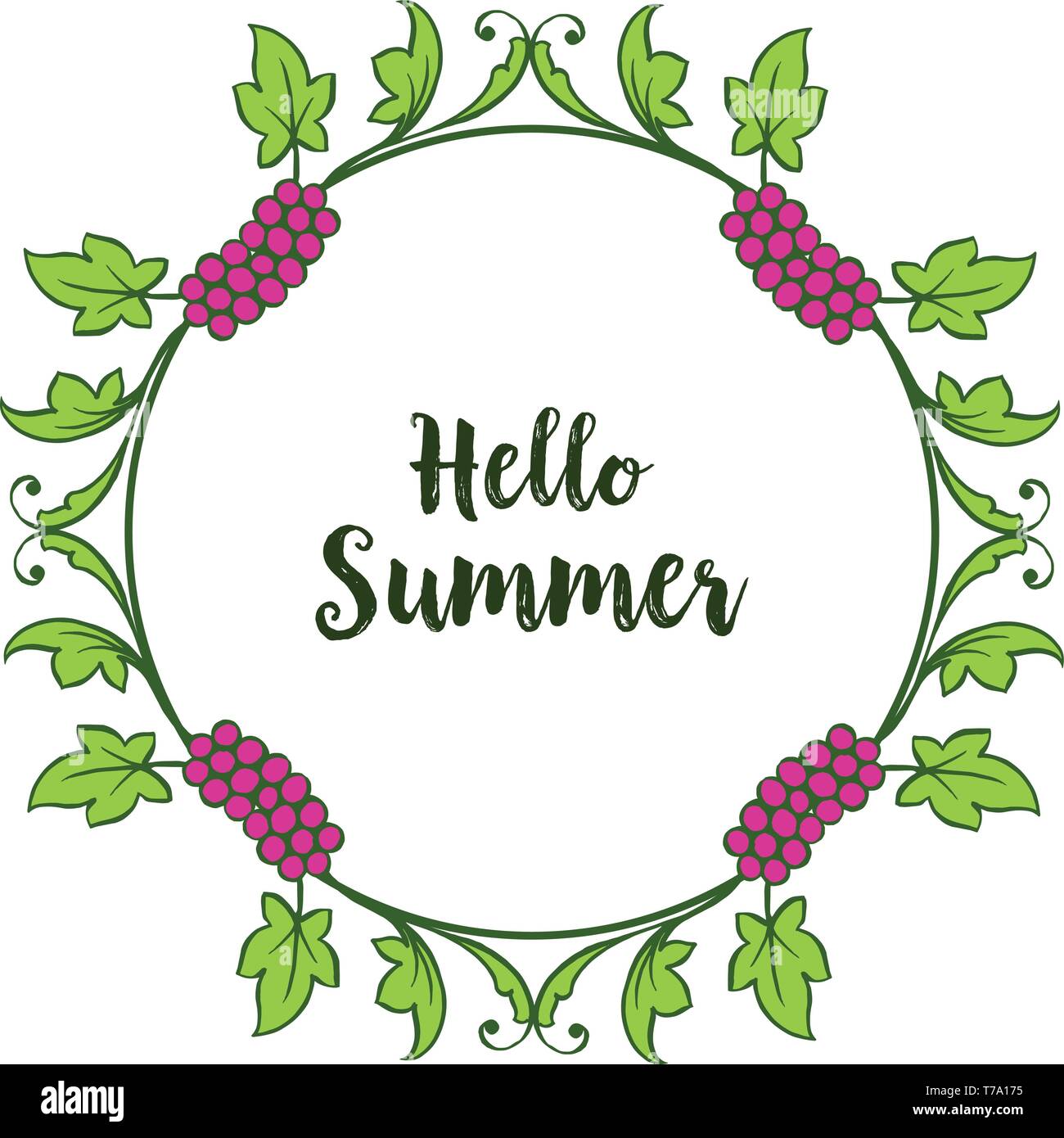 Vector illustration beauty of leaf bouqet frame for hello summer text ...
