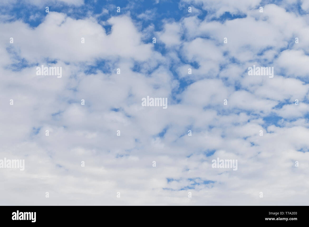 Stratocumulus clouds in the sky over January-Wabash Park (Ferguson, Missouri) after some snowfall on a winter morning. Stock Photo