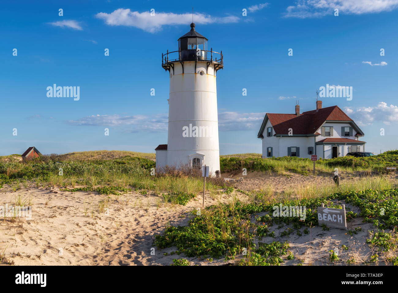 Cape Cod Lighthouse in beach dunes Stock Photo