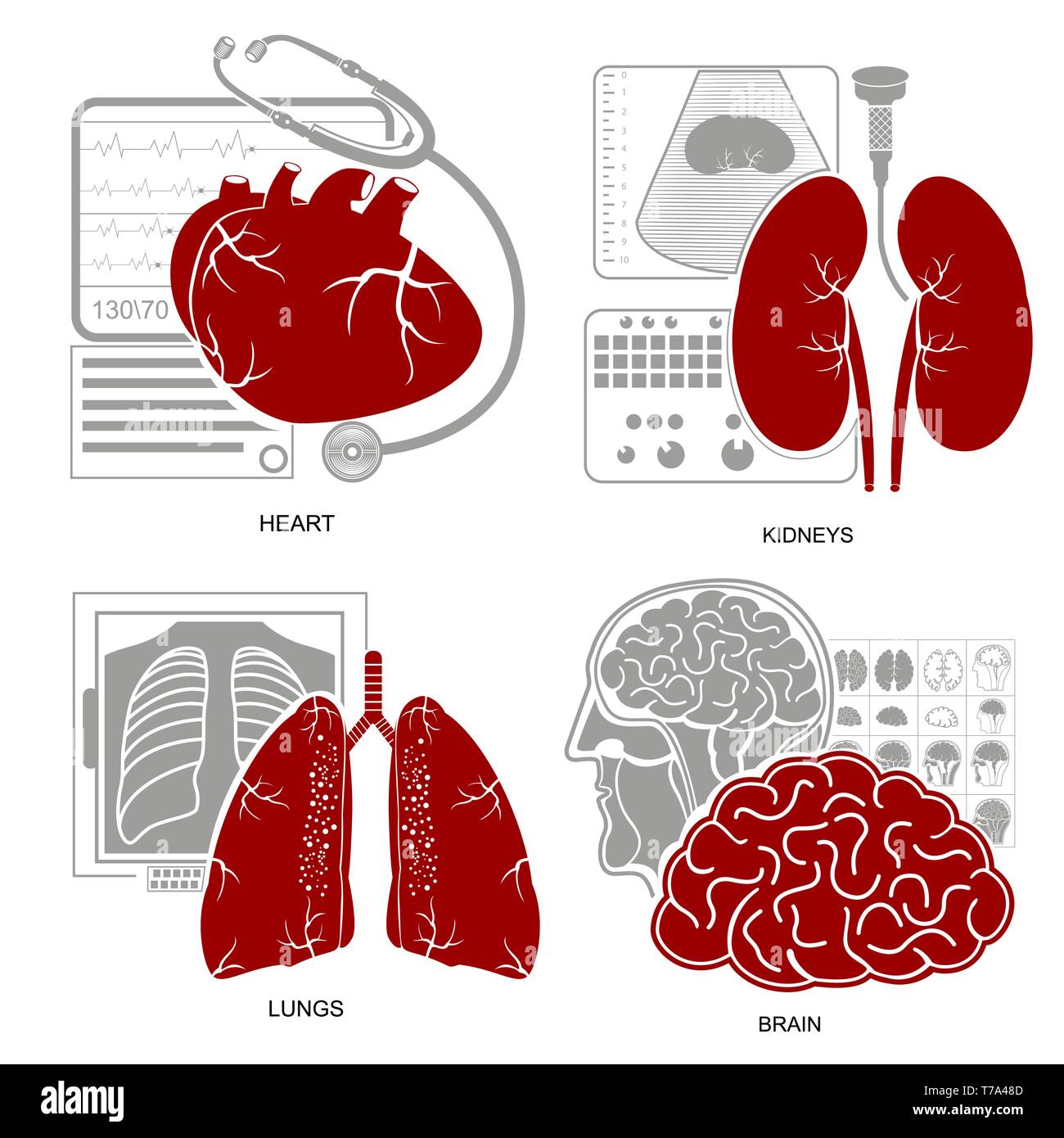 Four flat design medecine icon heart lungs brain kidneys and their diagnostic equipments Stock Vector