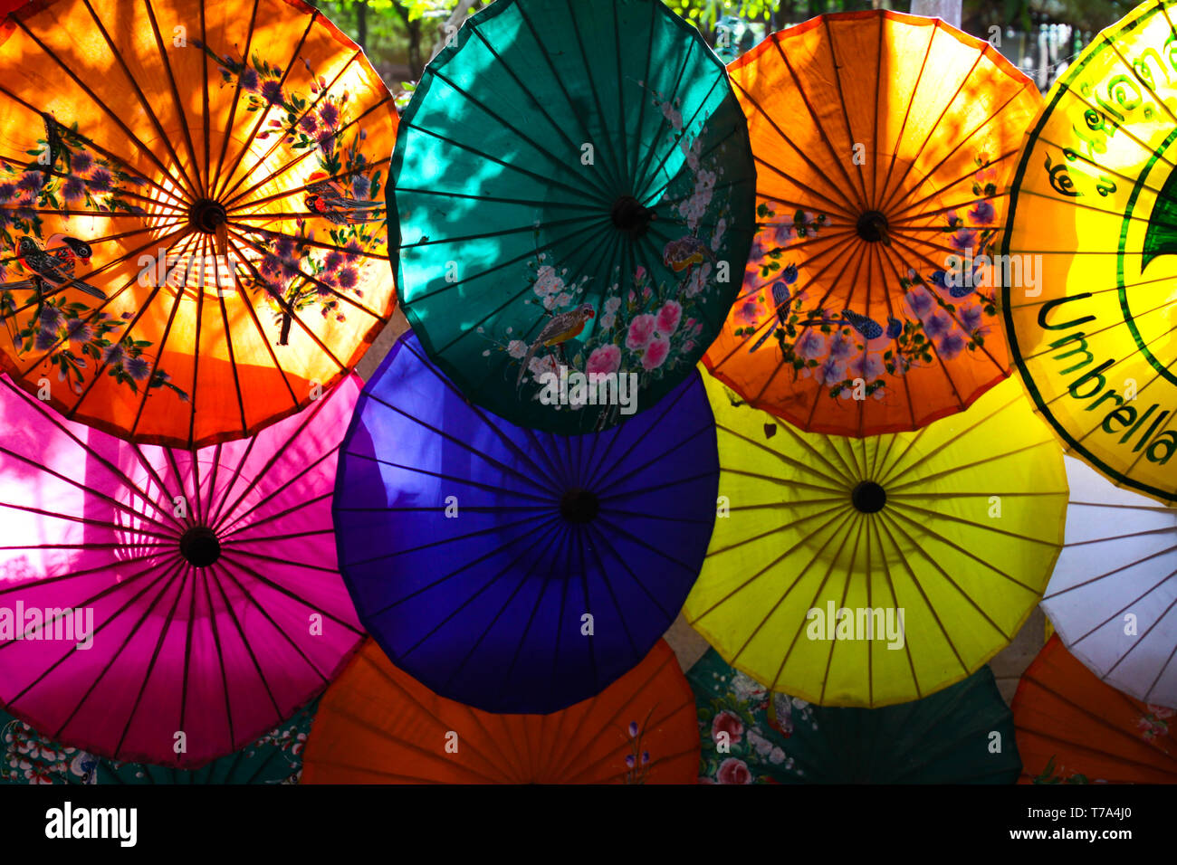 Bo sang umbrella factory chiang hires stock photography and images Alamy