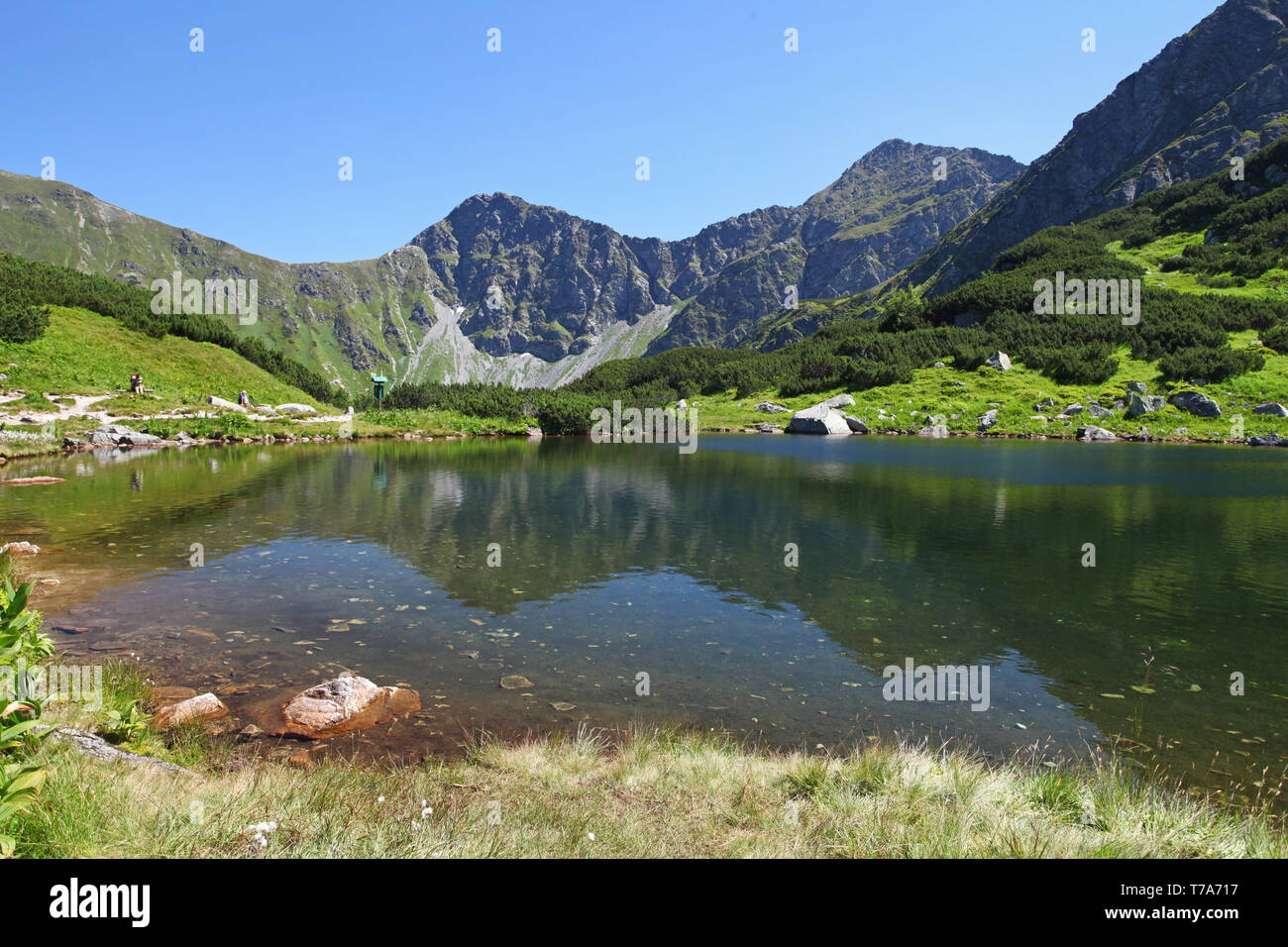 Plesa hi-res stock photography and images - Alamy