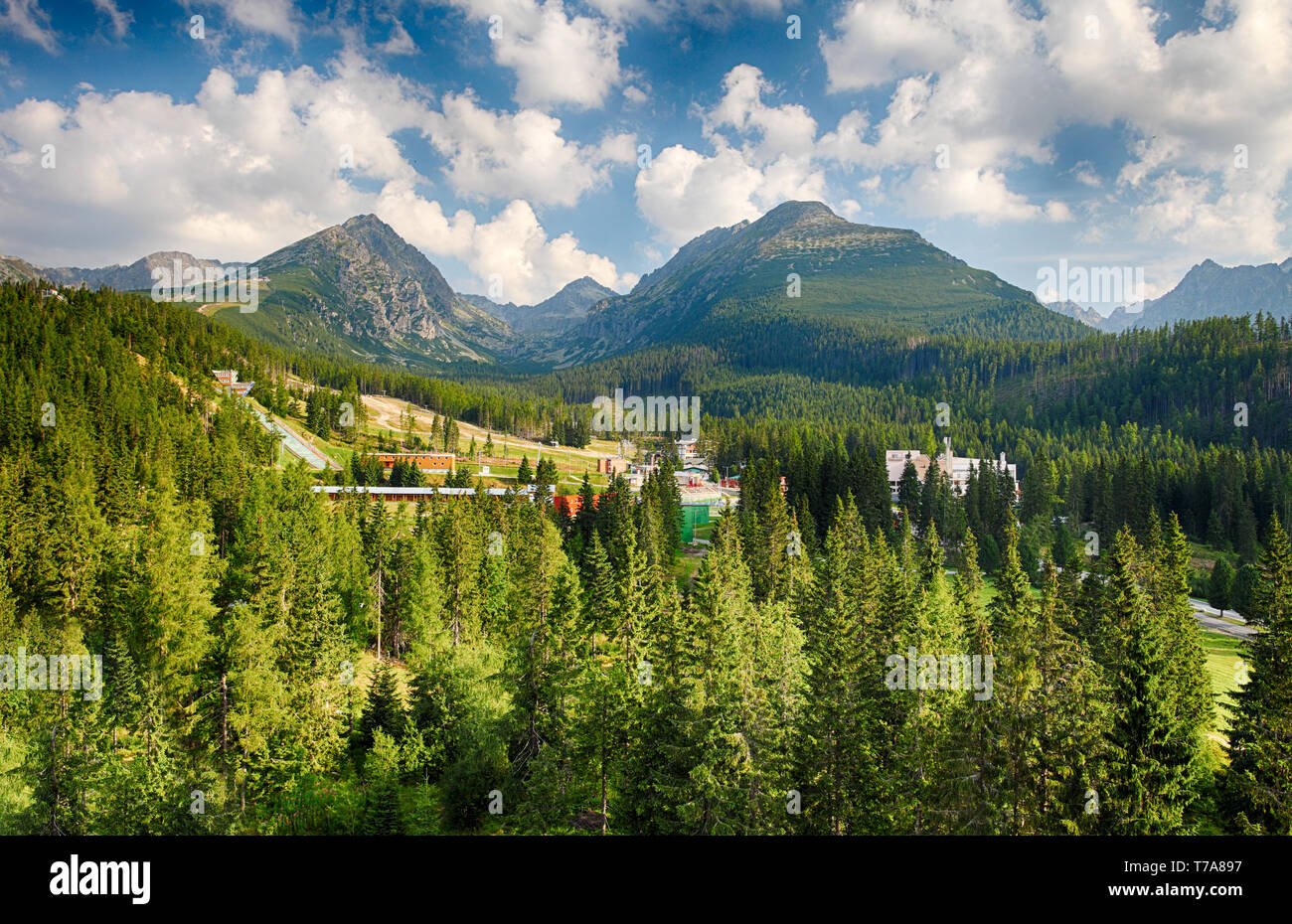 High Tatras with green forest Stock Photo