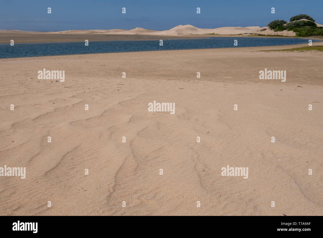 The Alexandria coastal dune fields at the Sundays River mouth. The sand