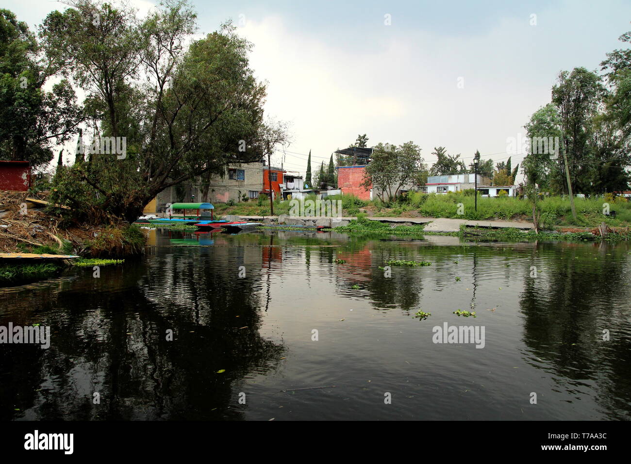 Xochimilco district in Mexico city. Stock Photo