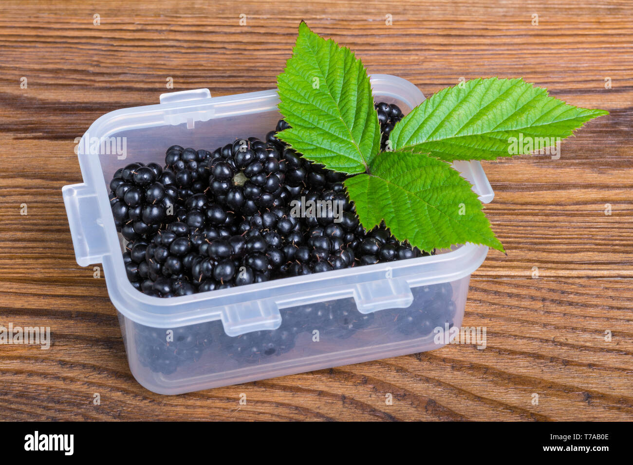 Container of blackberries hi-res stock photography and images - Alamy