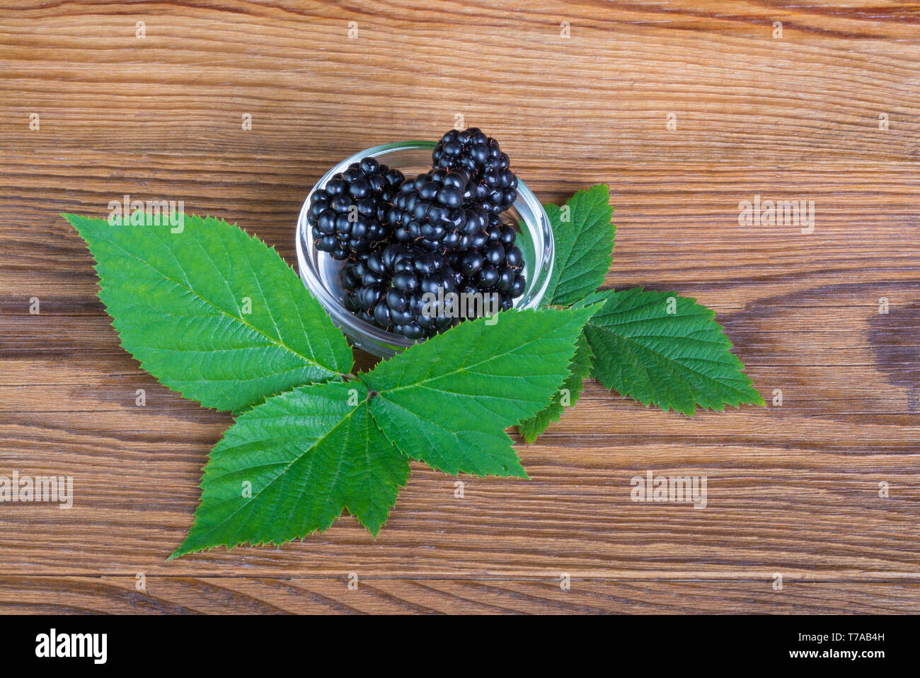 Ripe blackberries in small bowl. Green bramble leaves. Rubus. Pile of sweet juicy forest black berries in glass dish. Decorative twig, wood background. Stock Photo
