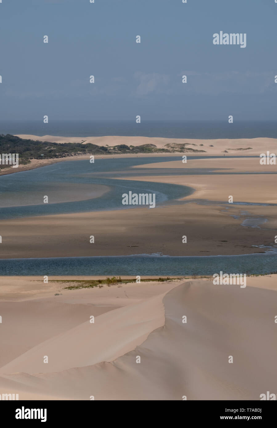 The Alexandria coastal dune fields with the sea in the distance, near Addo / Colchester on the Sunshine Coast in South Africa. Stock Photo