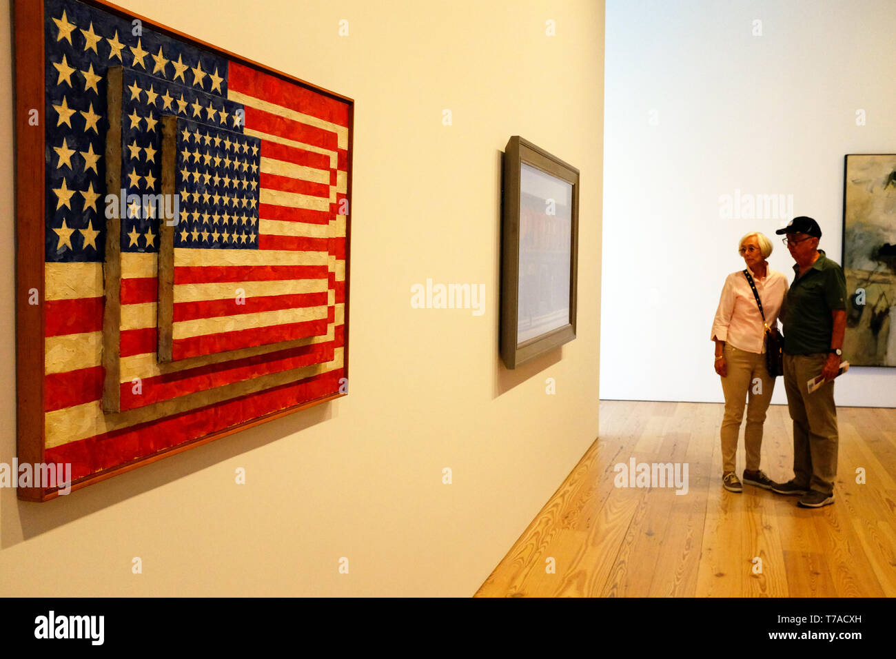 jasper johns whitney jasper johns whitney