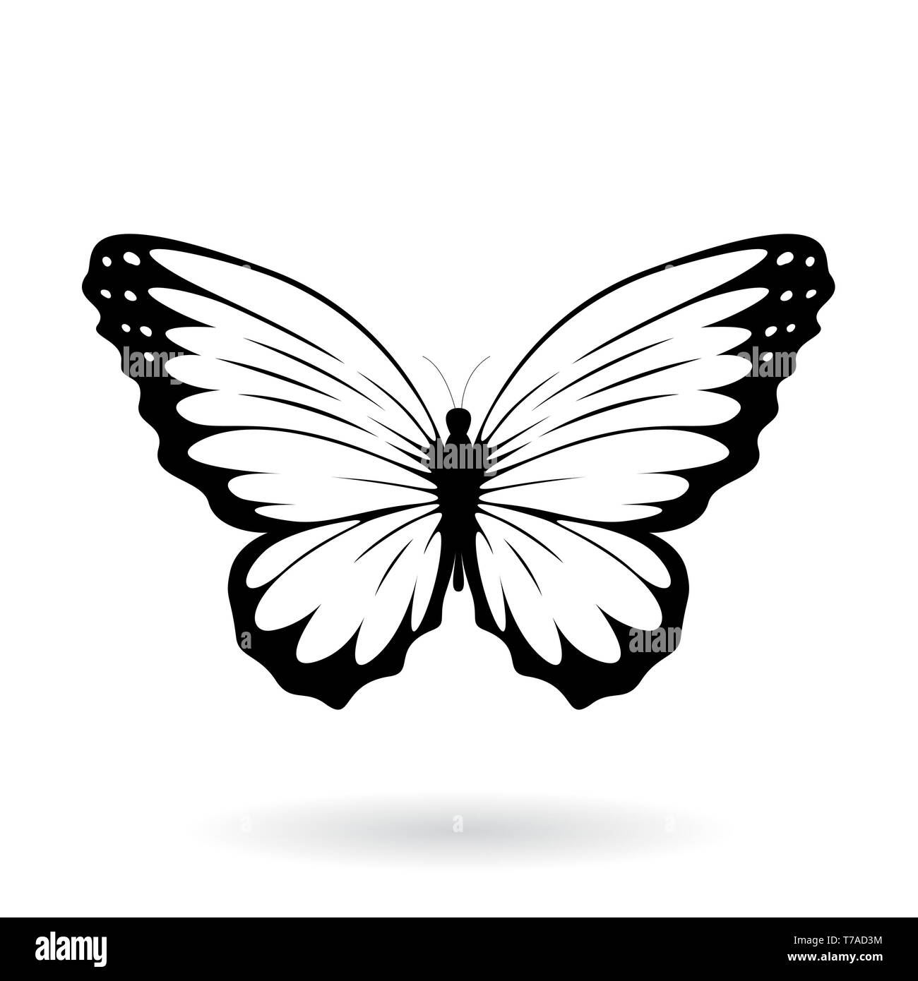 Vector Illustration of a Black Butterfly Silhouettey isolated on a white  background Stock Photo - Alamy