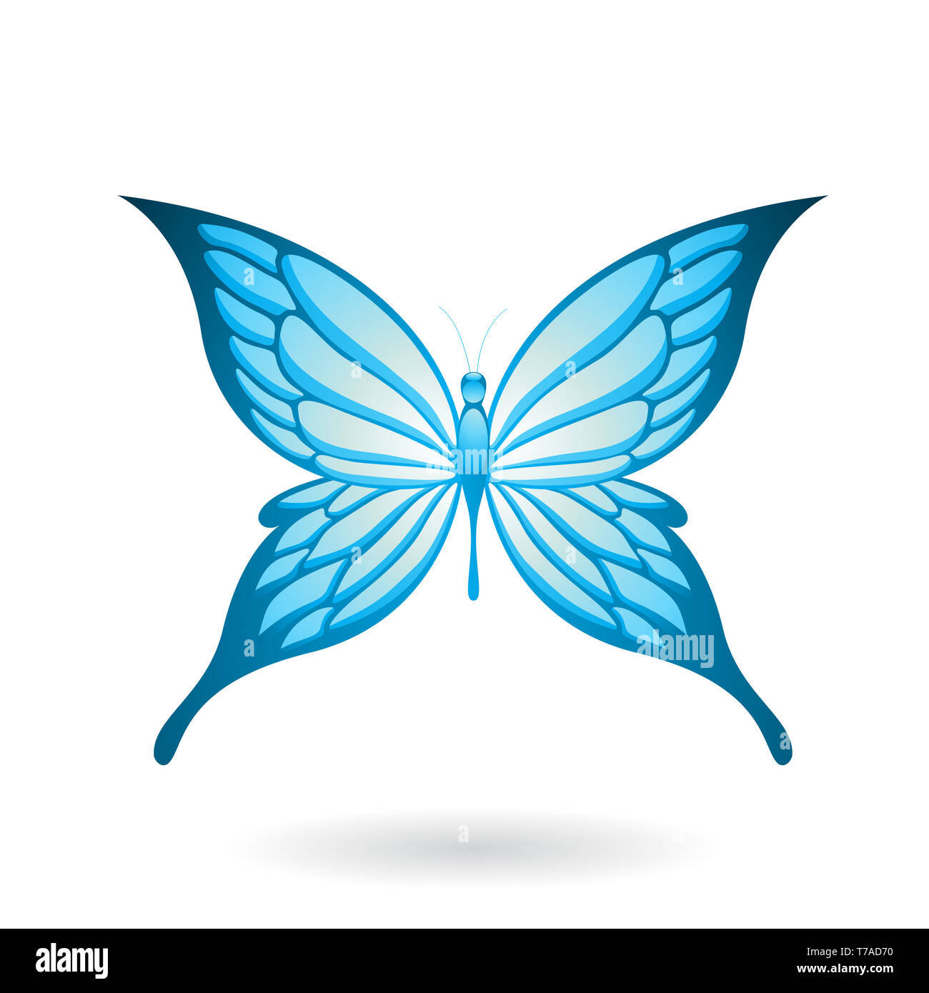 Vector Illustration of a Colorful Butterfly isolated on a white ...