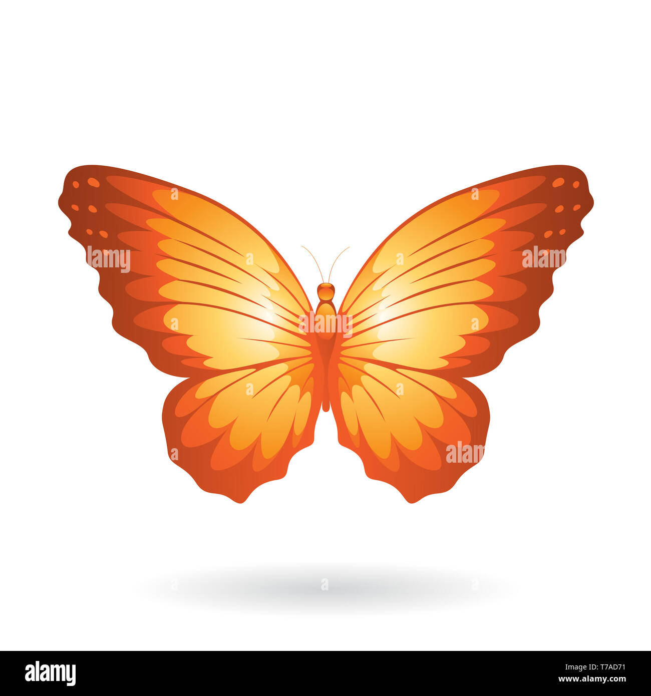 Vector Illustration of a Colorful Butterfly isolated on a white ...