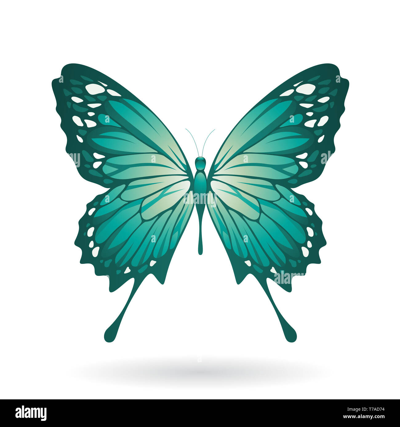 Vector Illustration of a Colorful Butterfly isolated on a white ...