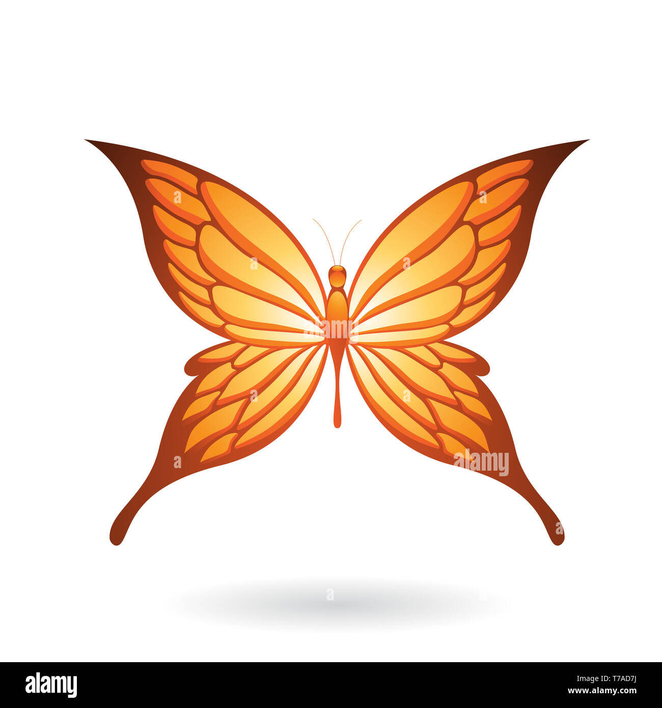 Vector Illustration of a Colorful Butterfly isolated on a white ...