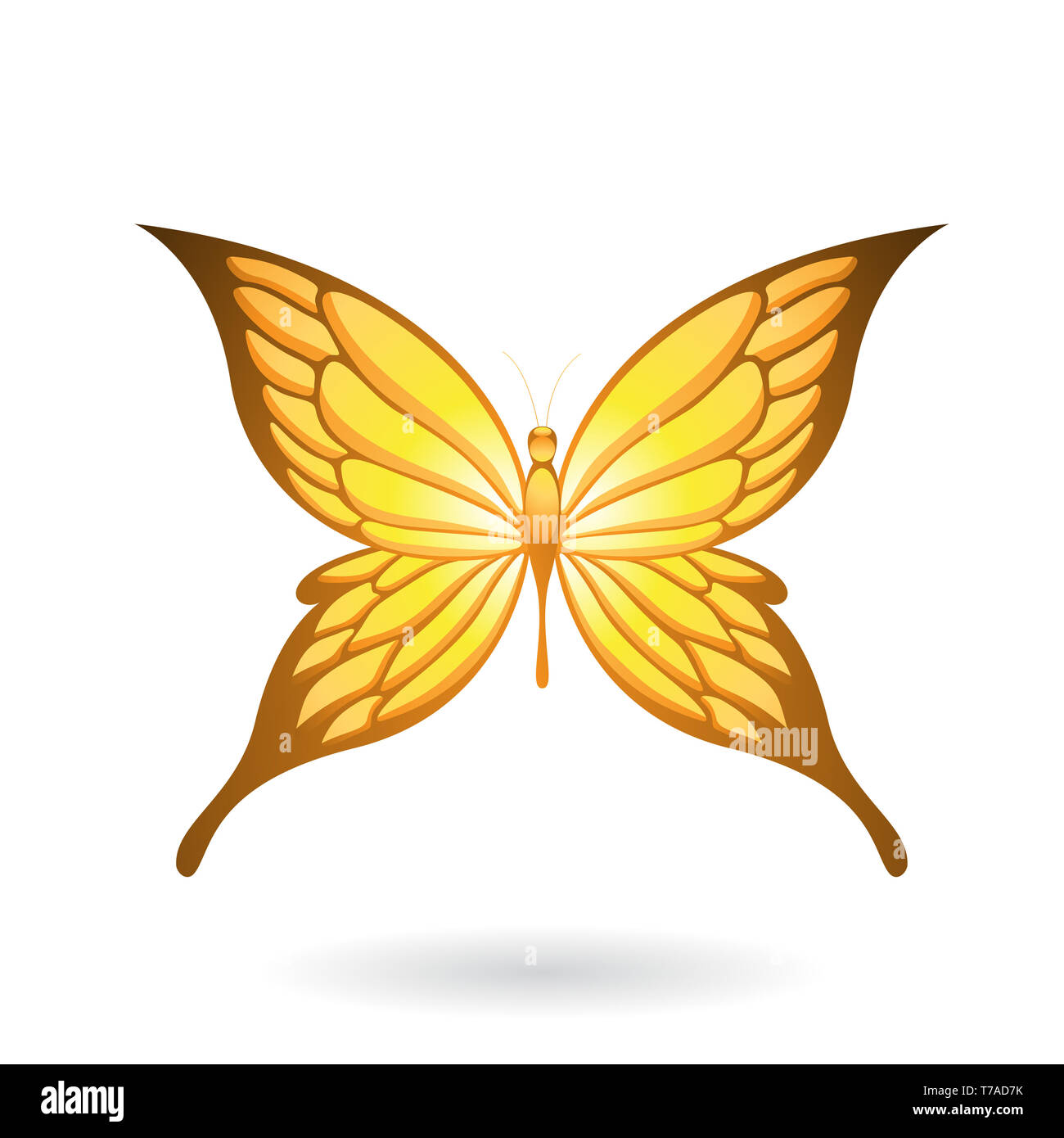 Vector Illustration of a Colorful Butterfly isolated on a white ...