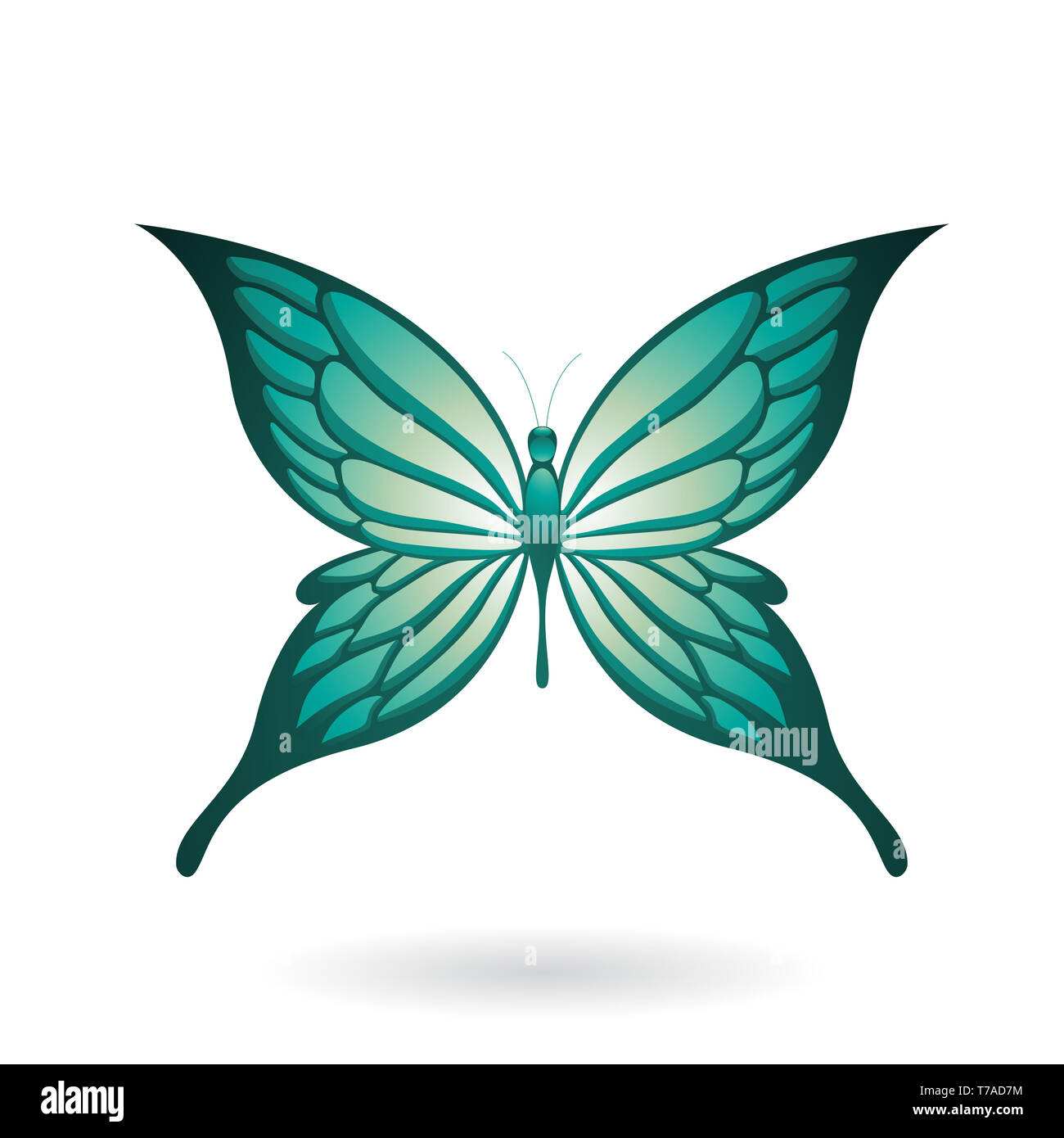 Vector Illustration of a Colorful Butterfly isolated on a white ...