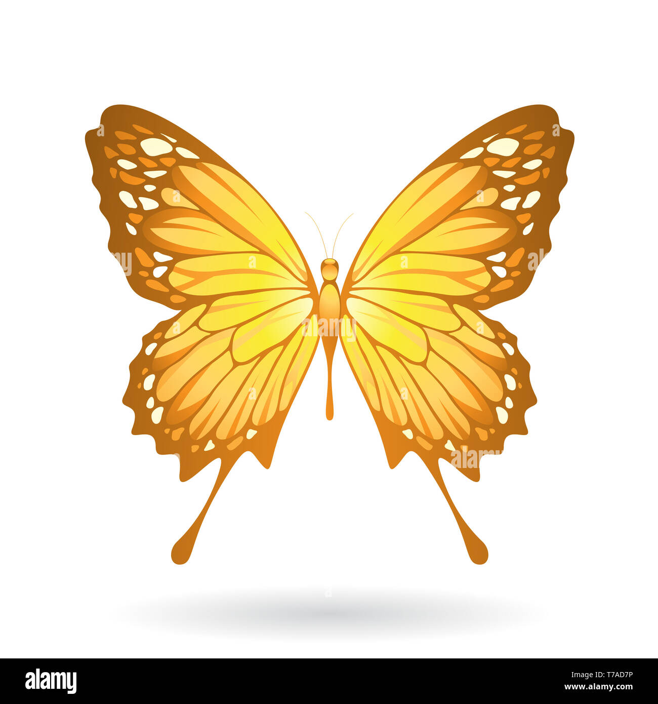 Vector Illustration of a Colorful Butterfly isolated on a white ...