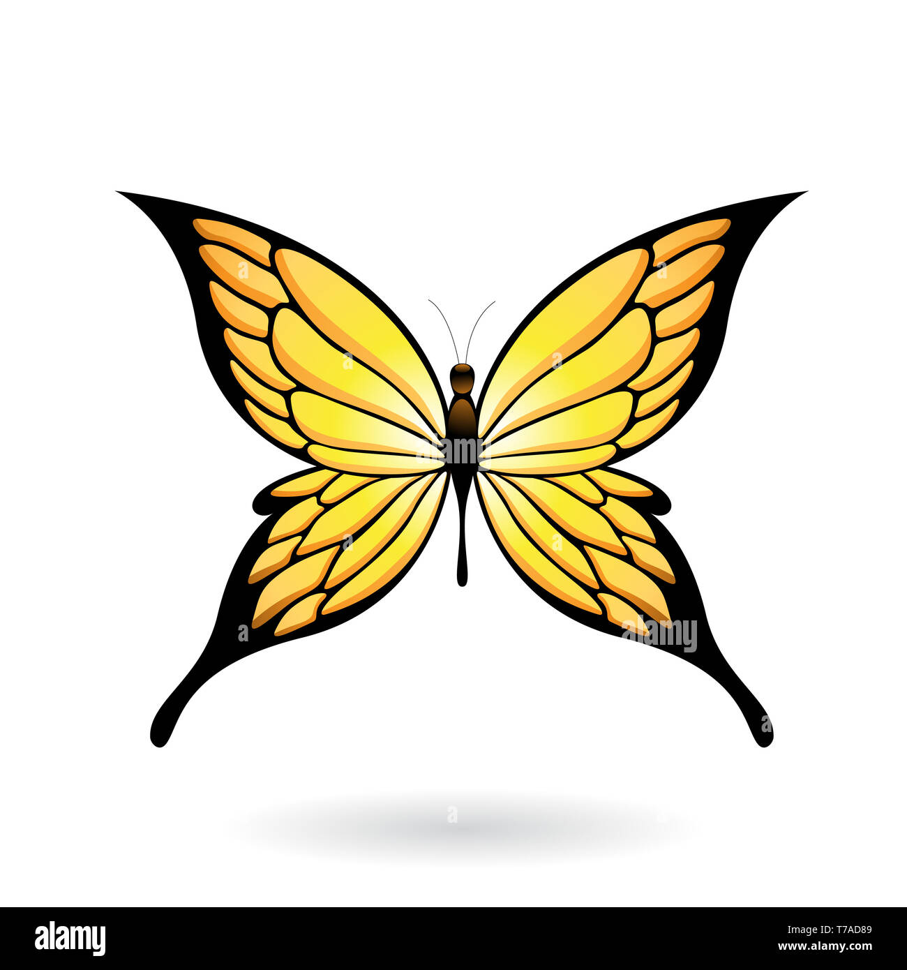 Vector Illustration of a Colorful Butterfly isolated on a white ...