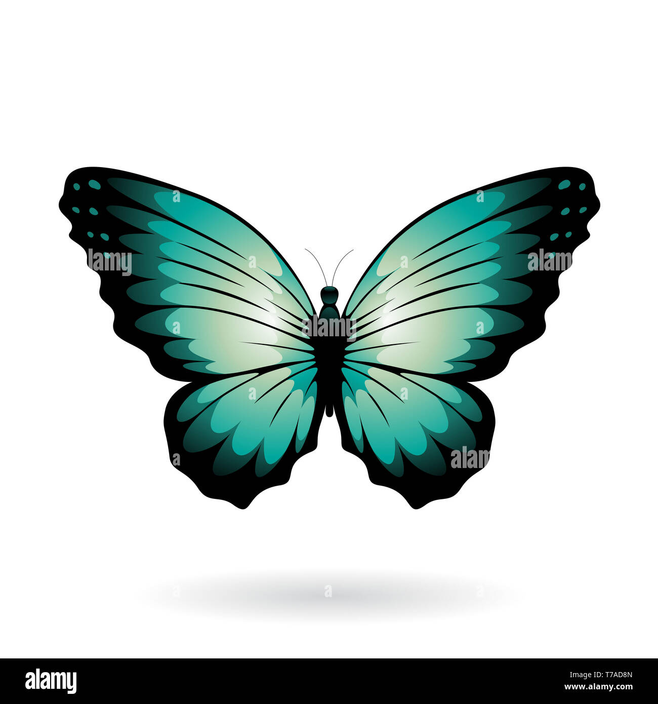 Vector Illustration of a Colorful Butterfly isolated on a white ...