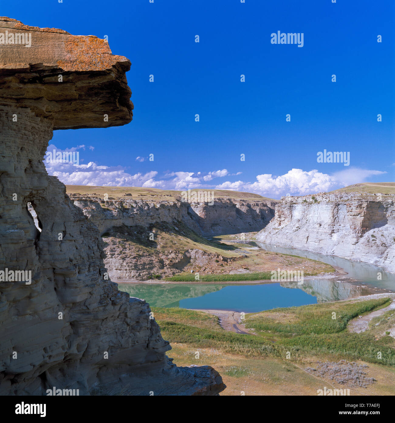 two medicine river in a canyon near valier, montana Stock Photo Alamy