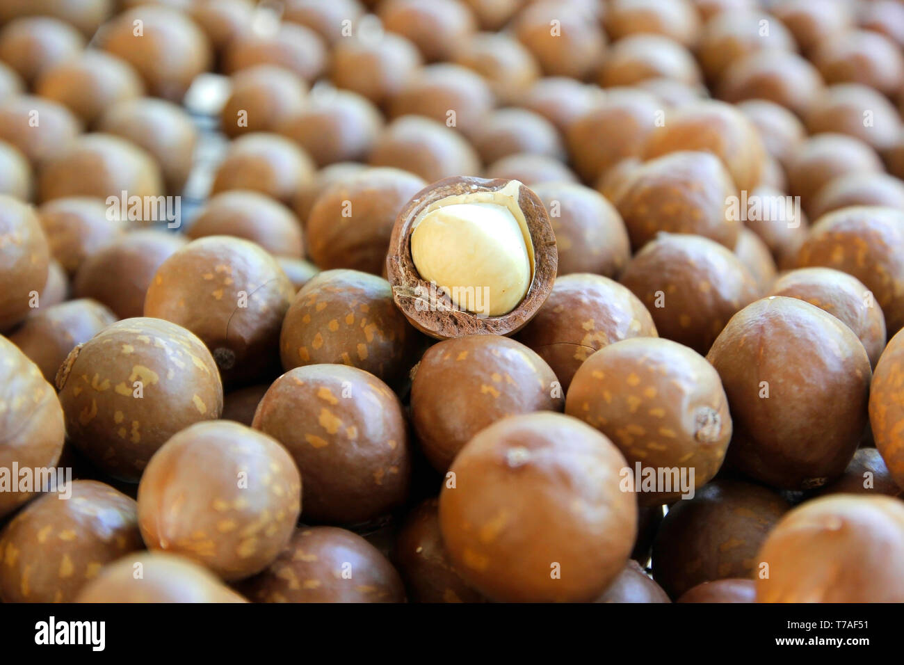 antioxidant fruits, pile of macadamia nuts background Stock Photo Alamy