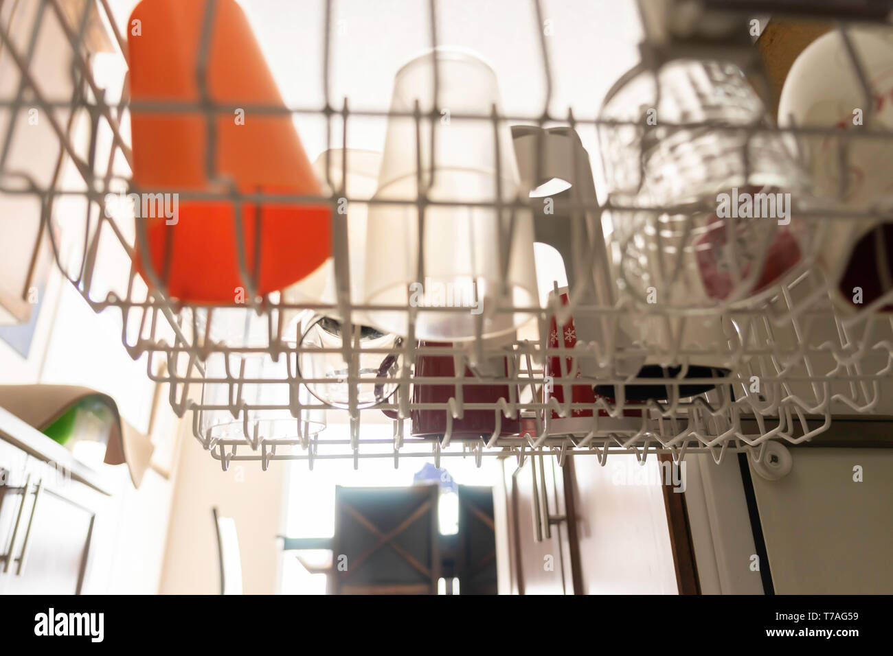 Glasses, Cups and Plates in a dishwasher at home Stock Photo Alamy