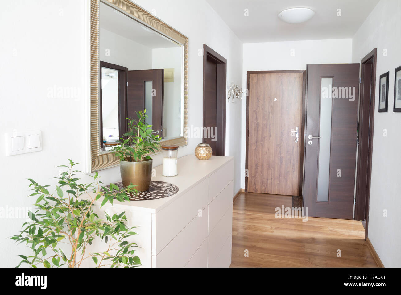 entry hall in contemporary home Stock Photo